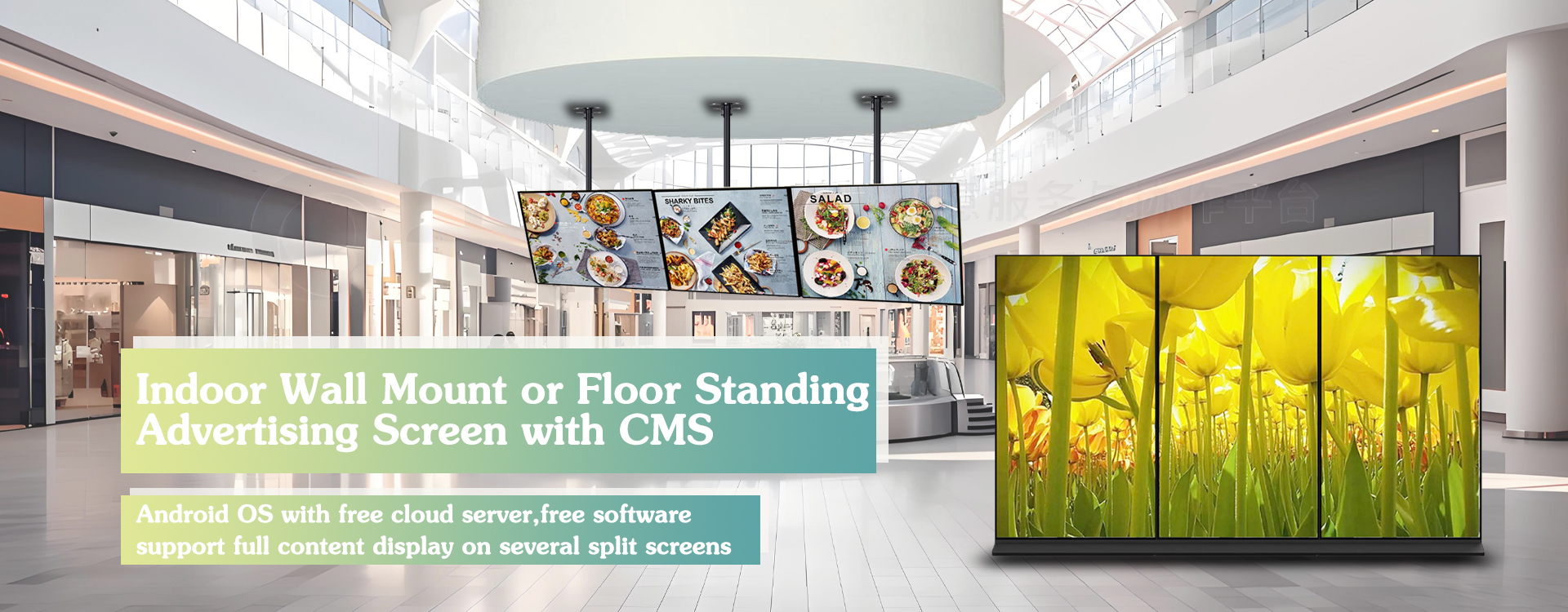 Qualidade Signage de WIFI Digital Fábrica