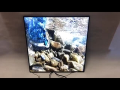 Tipo BOE original 33 quadrado do painel 420Nits 1920*1920 do LCD do quadrado da polegada que anuncia a exposição